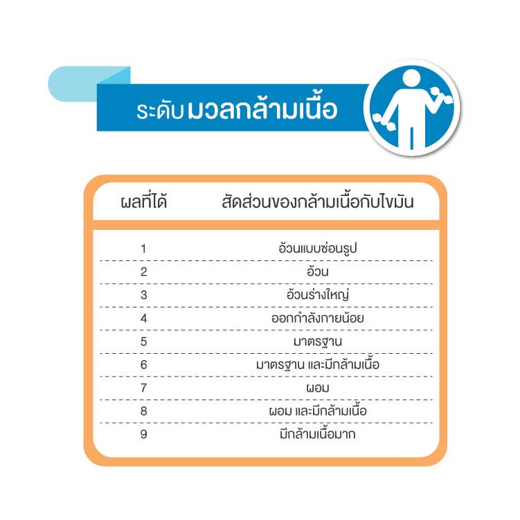 รายการ 99 ภาพ ตารางเปอร์เซ็นต์ไขมันในร่างกาย ความละเอียด 2k 4k 6630