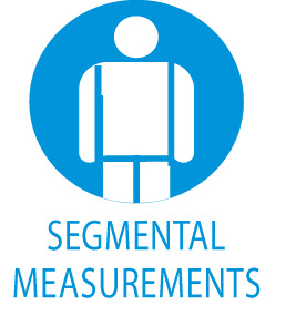 การวิเคราะห์ไขมันและกล้ามเนื้อแบบแยกส่วน  (Segmental Measurements)